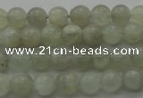 CMS1051 15.5 inches 6mm round grey moonstone beads wholesale
