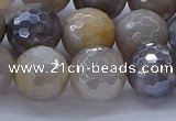 CMS1314 15.5 inches 12mm faceted round AB-color grey moonstone beads