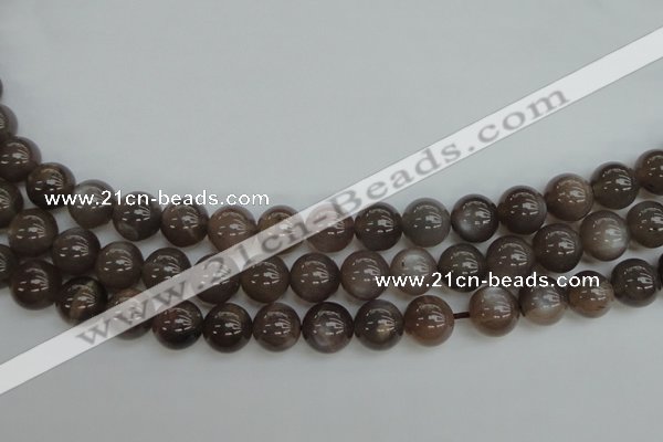 CMS142 15.5 inches 8mm round natural grey moonstone beads