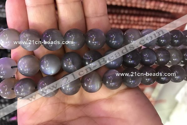 CMS1425 15.5 inches 14mm round black moonstone beads wholesale