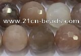 CMS1498 15.5 inches 10mmm faceted round rainbow moonstone beads