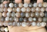 CMS1694 15.5 inches 10mm faceted round rainbow moonstone beads