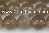 CMS1958 15.5 inches 7mm round natural moonstone gemstone beads