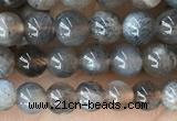 CMS2058 15.5 inches 4mm round moonstone gemstone beads
