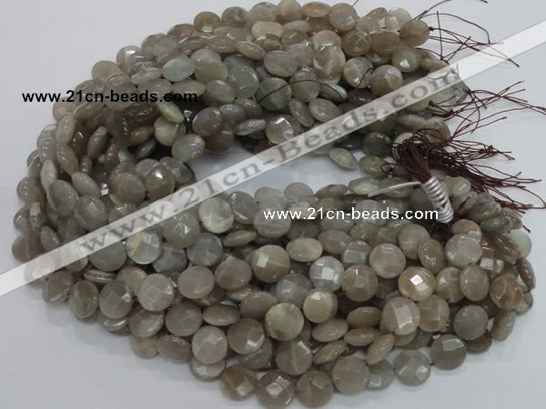 CMS46 15.5 inches 14mm faceted coin moonstone gemstone beads