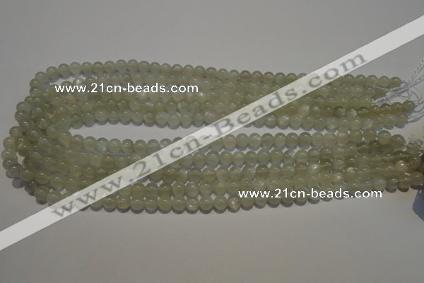 CMS651 15.5 inches 6mm round grey moonstone beads wholesale