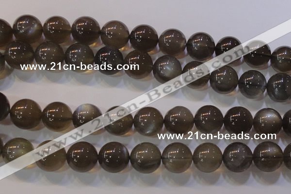CMS855 15.5 inches 14mm round natural black moonstone beads