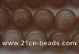 CMS933 15.5 inches 10mm round A grade moonstone gemstone beads