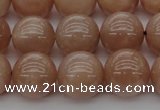 CMS934 15.5 inches 12mm round A grade moonstone gemstone beads