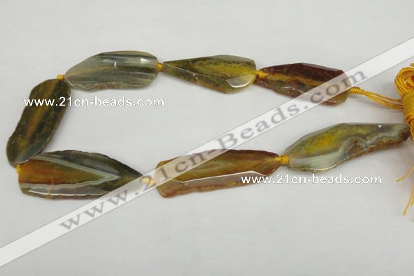 CNG1234 15.5 inches 20*40mm - 25*55mm freeform agate beads