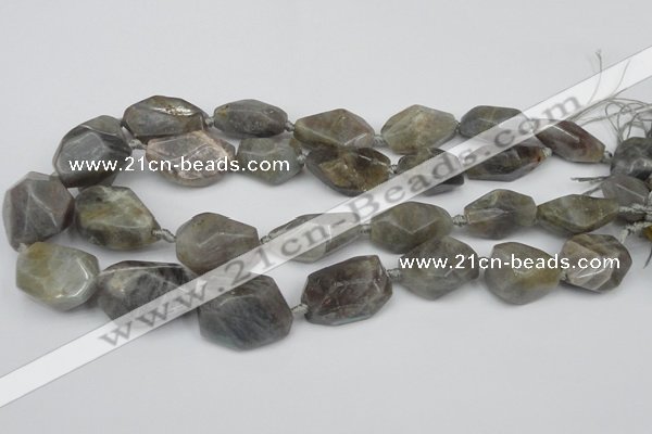 CNG1715 15.5 inches 15*20mm - 20*30mm nuggets labradorite beads