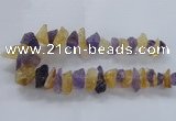 CNG2543 12*20mm – 15*30mm nuggets lavender amethyst & citrine beads