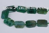 CNG3084 15.5 inches 30*40mm - 35*45mm freeform agate beads