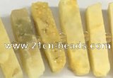 CNG3631 15.5 inches 5*30mm - 8*35mm sticks druzy agate beads