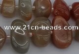 CNG5250 15.5 inches 8*12mm - 15*20mm nuggets moonstone beads