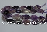 CNG5264 20*30mm - 22*35mm faceted freeform dogtooth amethyst beads