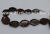 CNG5313 15.5 inches 20*30mm - 35*45mm freeform orange garnet beads