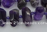 CNG5365 15.5 inches 12*16mm - 15*25mm faceted nuggets amethyst beads