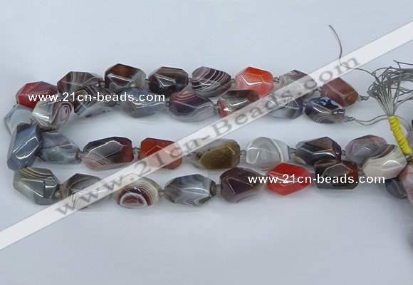 CNG5681 12*16mm - 15*25mm faceted nuggets botswana agate beads