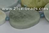 CNG5704 15.5 inches 22*30mm - 28*35mm freeform aquamarine beads