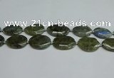 CNG7098 25*35mm - 35*45mm faceted freeform labradorite beads