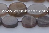 CNG7576 15.5 inches 10*14mm - 13*18mm freeform sunstone beads