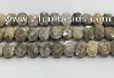CNG8623 10*13mm - 12*16mm faceted freeform chrysanthemum agate beads
