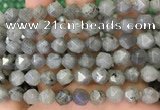 CNG8717 15.5 inches 10mm faceted nuggets labradorite gemstone beads