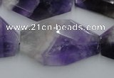 CNG893 15.5 inches 22*30mm faceted freeform dogtooth amethyst beads
