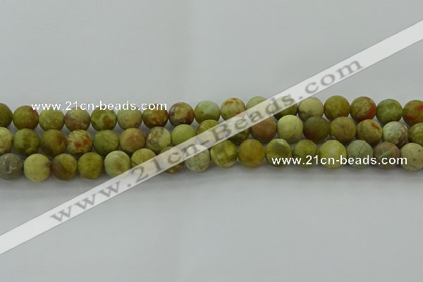 CNS652 15.5 inches 10mm round matte green dragon serpentine jasper beads