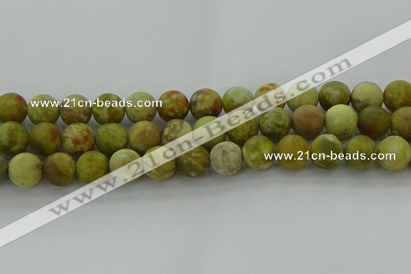 CNS654 15.5 inches 14mm round matte green dragon serpentine jasper beads