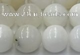 COP1732 15.5 inches 10mm round white opal beads wholesale