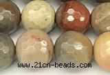 CPJ697 15 inches 10mm faceted round American picture jasper beads