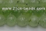 CPR313 15.5 inches 10mm round natural prehnite gemstone beads