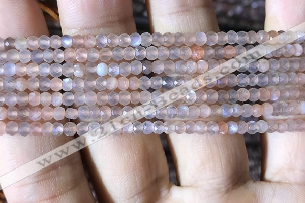 CRB2620 15.5 inches 2*3mm faceted rondelle moonstone beads