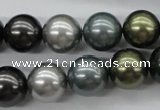 CSB1126 15.5 inches 14mm round mixed color shell pearl beads