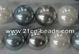 CSB1151 15.5 inches 16mm round mixed color shell pearl beads