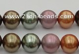CSB383 15.5 inches 14mm round mixed color shell pearl beads