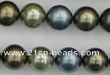 CSB384 15.5 inches 14mm round mixed color shell pearl beads