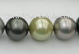 CSB398 15.5 inches 16mm round mixed color shell pearl beads