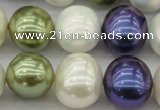 CSB717 15.5 inches 16*19mm oval mixed color shell pearl beads