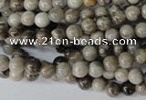 CSL10 15.5 inches 4mm round silver leaf jasper beads wholesale