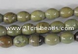 CSL103 15.5 inches 8*10mm rice silver leaf jasper beads wholesale