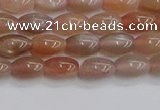 CSS265 15.5 inches 5*8mm rice sunstone beads wholesale