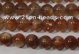 CSS551 15.5 inches 5mm round natural golden sunstone beads