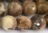 CSS822 15 inches 10mm faceted round sunstone beads