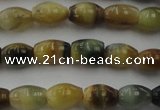 CTE1551 15.5 inches 5*8mm rice golden & blue tiger eye beads wholesale