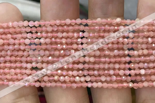 CTG1031 15.5 inches 2mm faceted round tiny moonstone beads