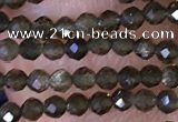 CTG1461 15.5 inches 2mm faceted round golden obsidian beads