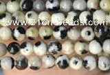 CTG2005 15 inches 2mm,3mm dalmatian jasper beads wholesale